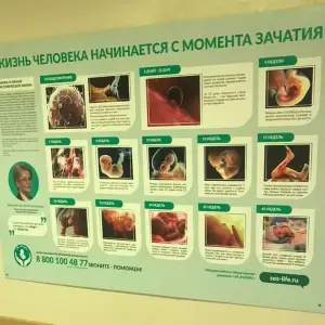 бб