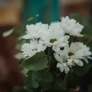 AI0W8518