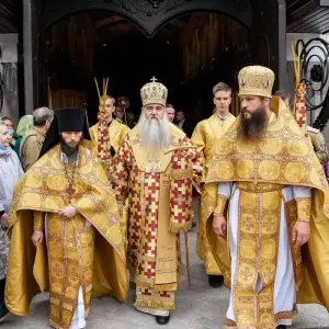 AGDG2544 копия