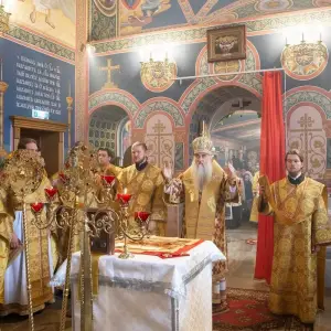 AGDG3431 копия