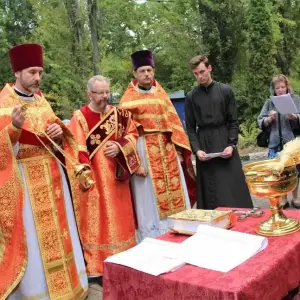 ц6