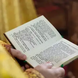 050