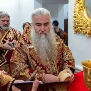 AGDG2218 копия