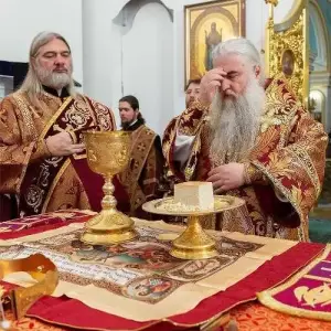 AGDG2441 копия