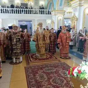 AGDG3009 копия