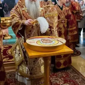 AGDG3160 копия