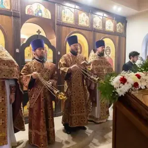 AGDG3889 копия