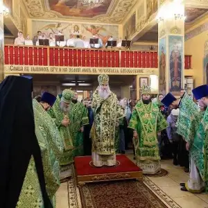 AGDG4429 копия