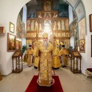 AGDG4541 копия
