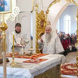 AGDG1690 копия