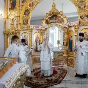 AGDG1986 копия