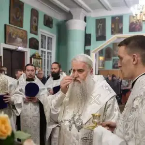 AGDG2448 копия