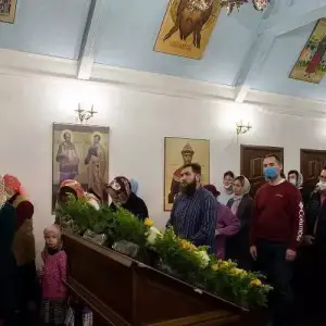 AGDG6137 копия