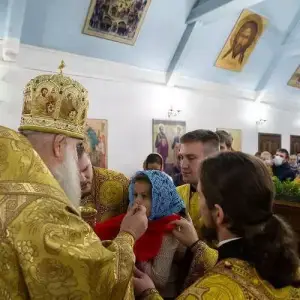 AGDG6196 копия