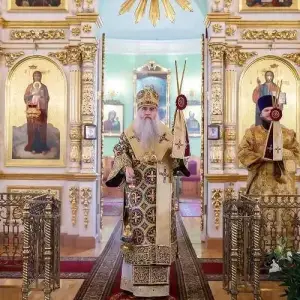 AGDG7241 копия