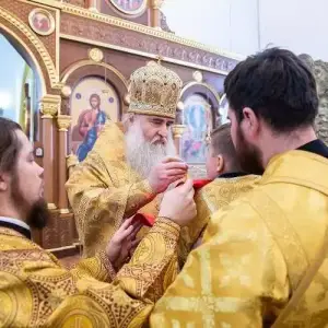 AGDG9565 копия