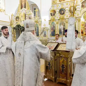 AGDG0487 копия