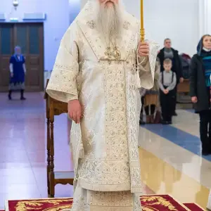 AGDG0580 копия