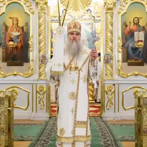 AGDG1653 копия