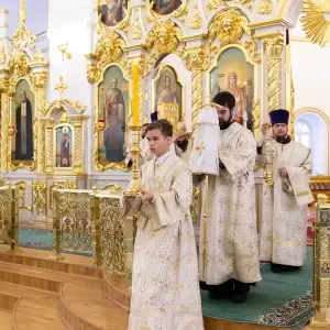 AGDG6595 копия