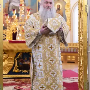 AGDG6813 копия