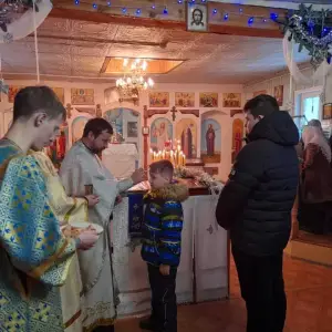 л