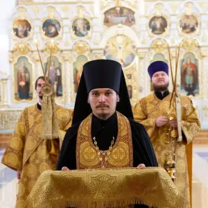 AGDG7228 копия