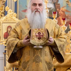 AGDG8144 копия