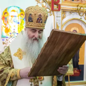 AGDG2498 копия