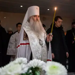 AGDG3037 копия