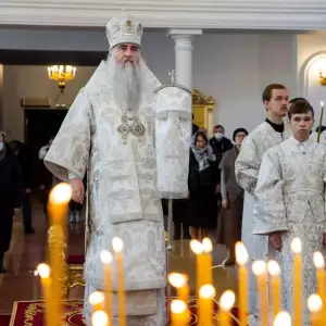 AGDG3115 копия