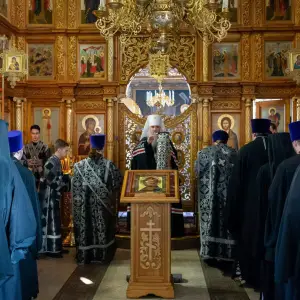 AGDG3176 копия
