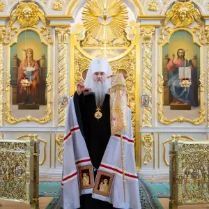 AGDG3684 копия