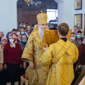 AGDG4133 копия