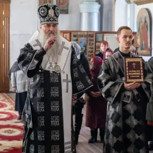 AGDG4341 копия