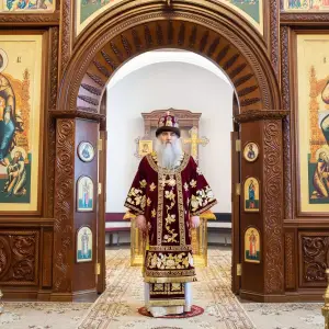 AGDG4931 копия