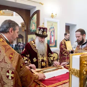 AGDG4937 копия