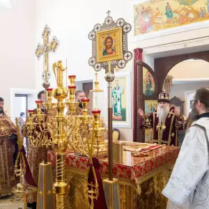 AGDG4954 копия