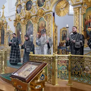 AGDG6981 копия
