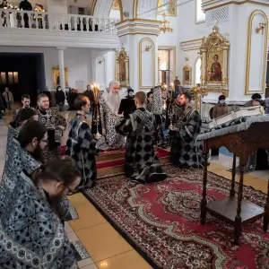 AGDG7086 копия