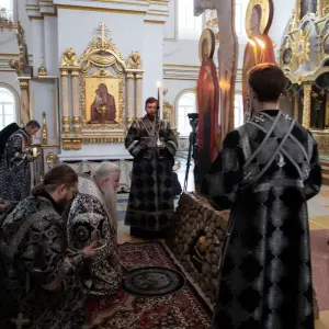 AGDG7097 копия