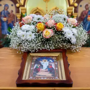 AGDG7433 копия