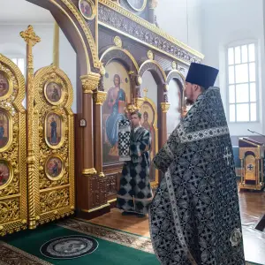 AGDG8089 копия