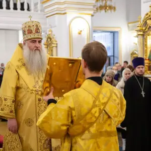 AGDG8426 копия