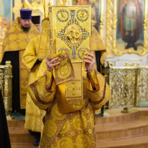 AGDG8488 копия