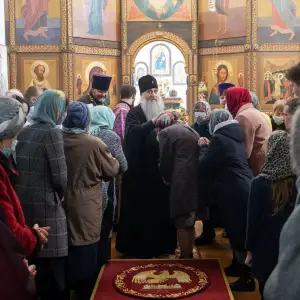 AGDG1015 копия