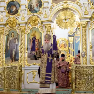 AGDG1049 копия