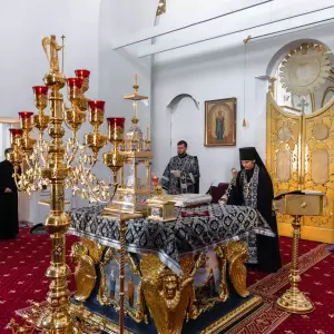 AGDG1120 копия