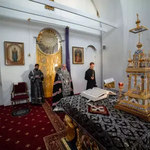 AGDG1165 копия