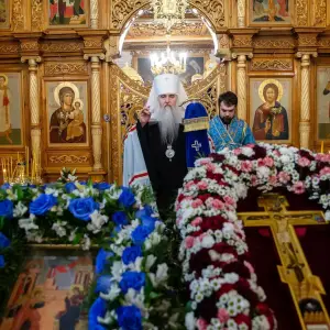 AGDG2238 копия
